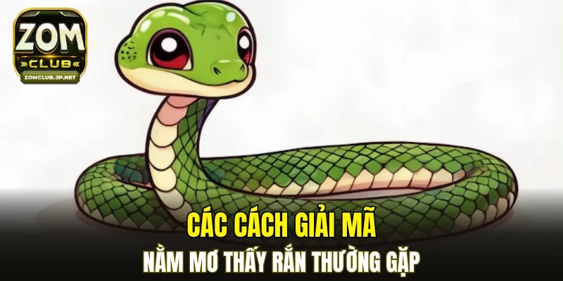 Các cách giải mã nằm mơ thấy rắn thường gặp